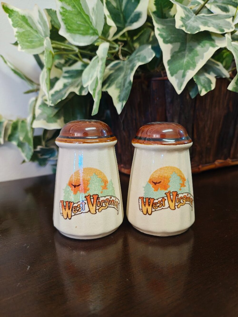Vintage West Virginia Souvenir Salt & Pepper Shakers Ceramic